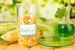 Ryde biofuel availability