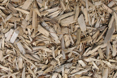 biomass boilers Ryde